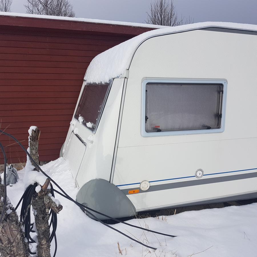 ホテル Camp Saltstraumen-Elvegard ボードー エクステリア 写真