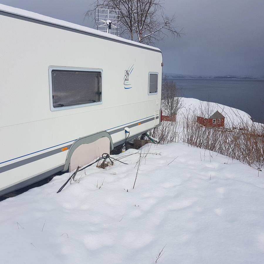 ホテル Camp Saltstraumen-Elvegard ボードー エクステリア 写真